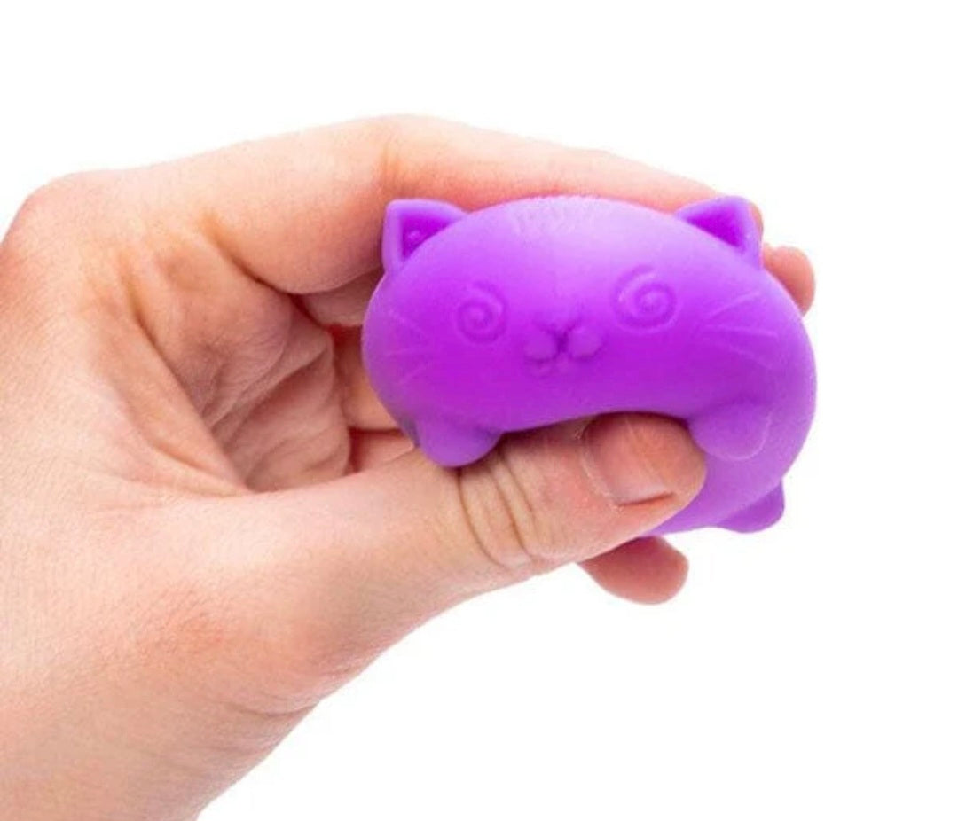 Teenie Nee Doh® Cool Cats Squishy (picked at random)