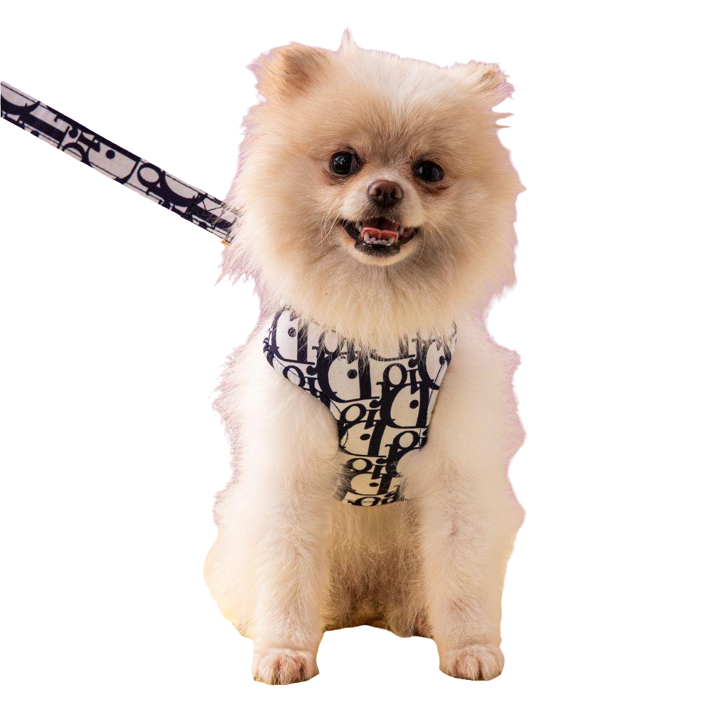 Dior Harness and Leash