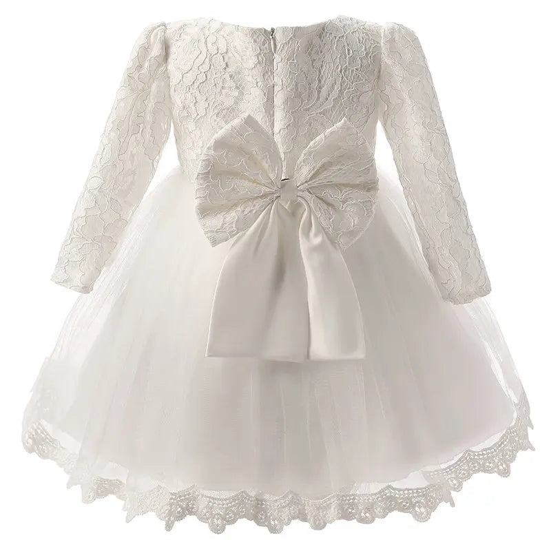 Lace Elegance Dress
