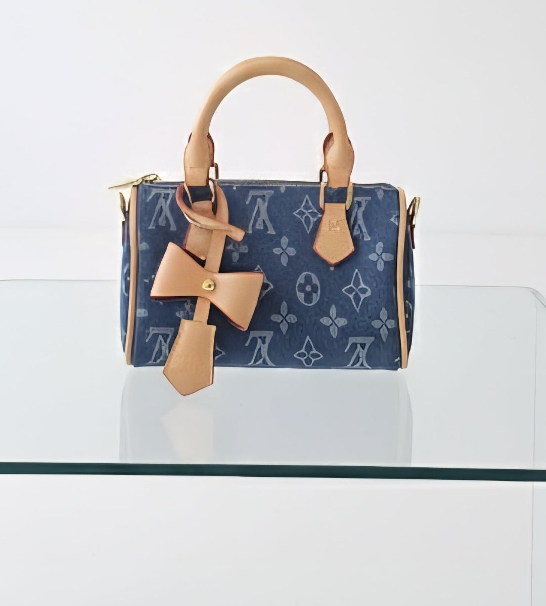 Denim lv speedy