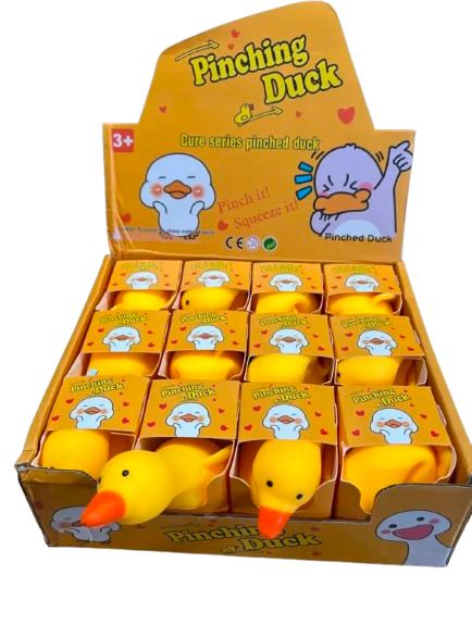 Duck squishy