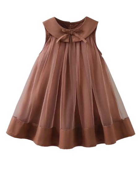 Brown A line dress